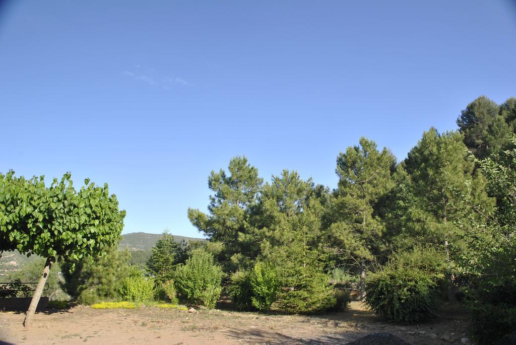 Hostal El Violi Cardona Luaran gambar